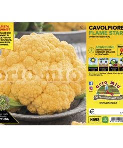 Cavolfiore arancione “Flame Star F1”