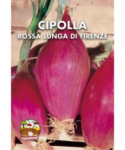 Cipolla rossa lunga di Firenze (Semente)