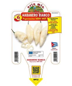 Peperoncino piccante “Habanero bianco”